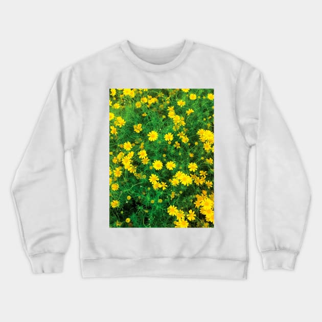 Blooming sulfur cosmos (yellow cosmos) flower bushes Crewneck Sweatshirt by FOGSJ